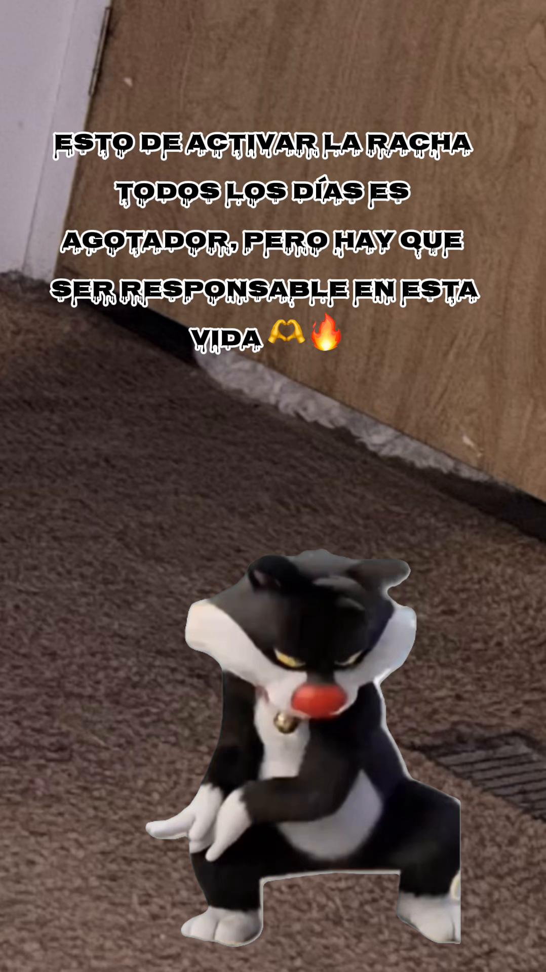 @👑🌻𝙎𝙃𝘼𝙋𝘼𝙍𝙍𝙄𝙏𝘼🌻👑