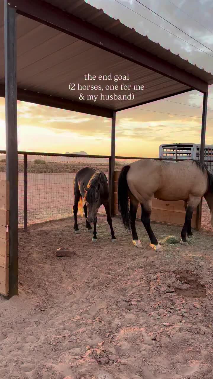 @ThunderGallops