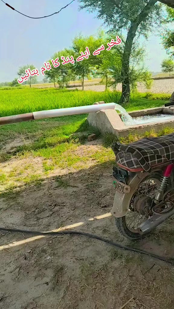 @🦅طارق علی 🇦🇪