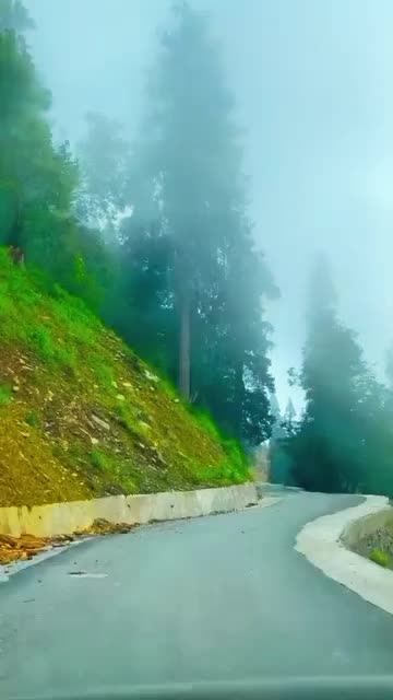 @raja