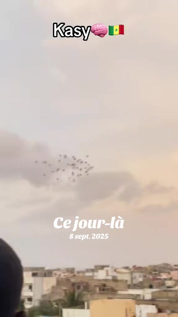 @OMZOLOFT🕊🦜🇸🇳