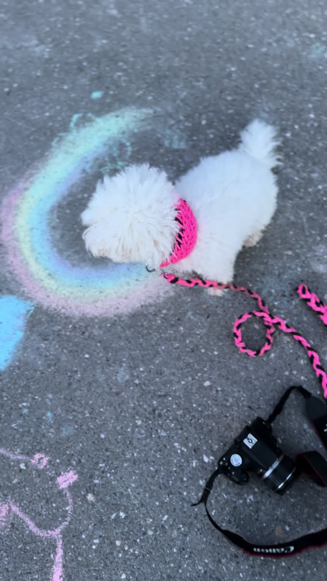 @❥𝒩𝒾𝓃𝒶ꨄ&rsquo;