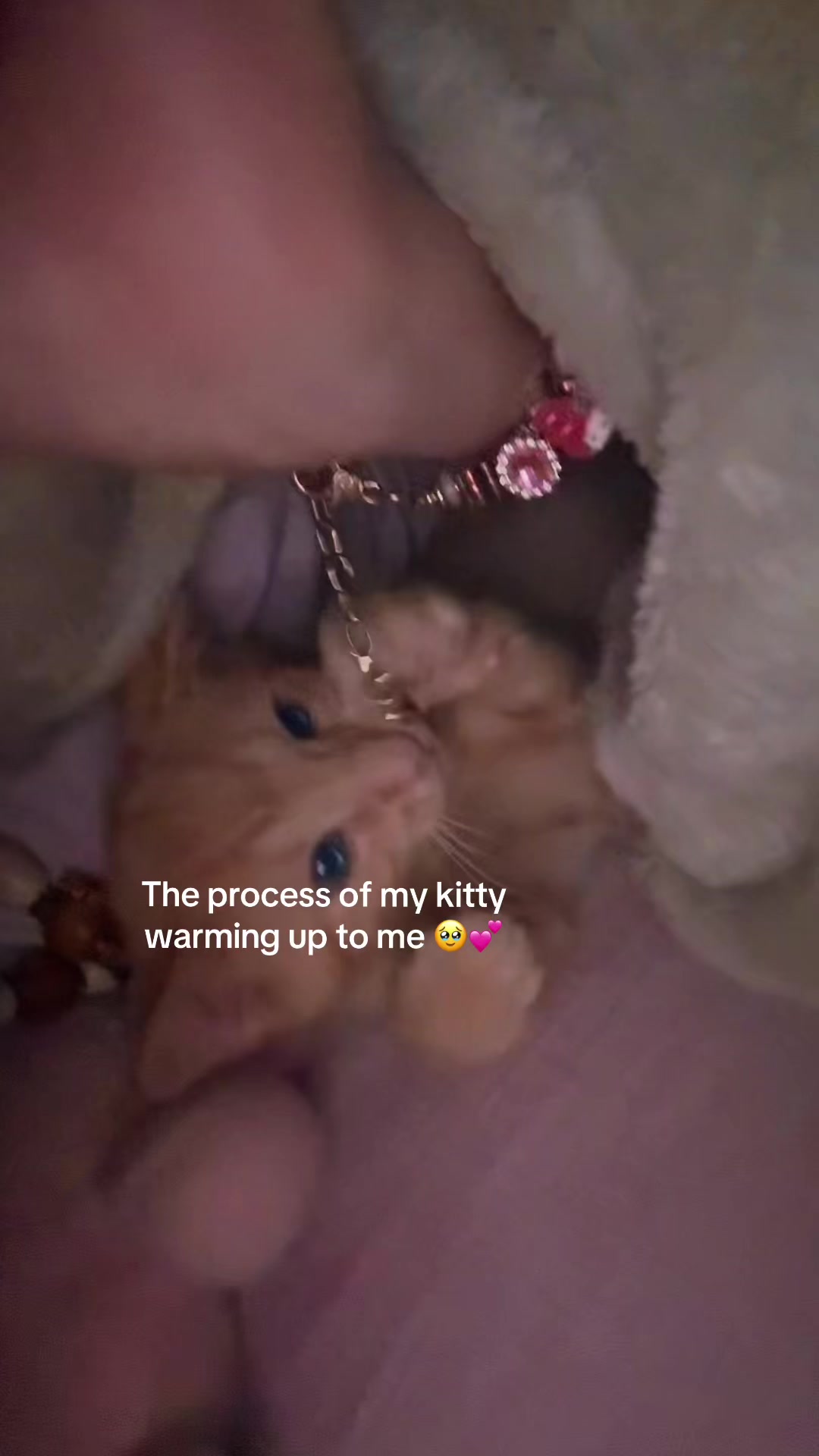 @yaniyah 🌸