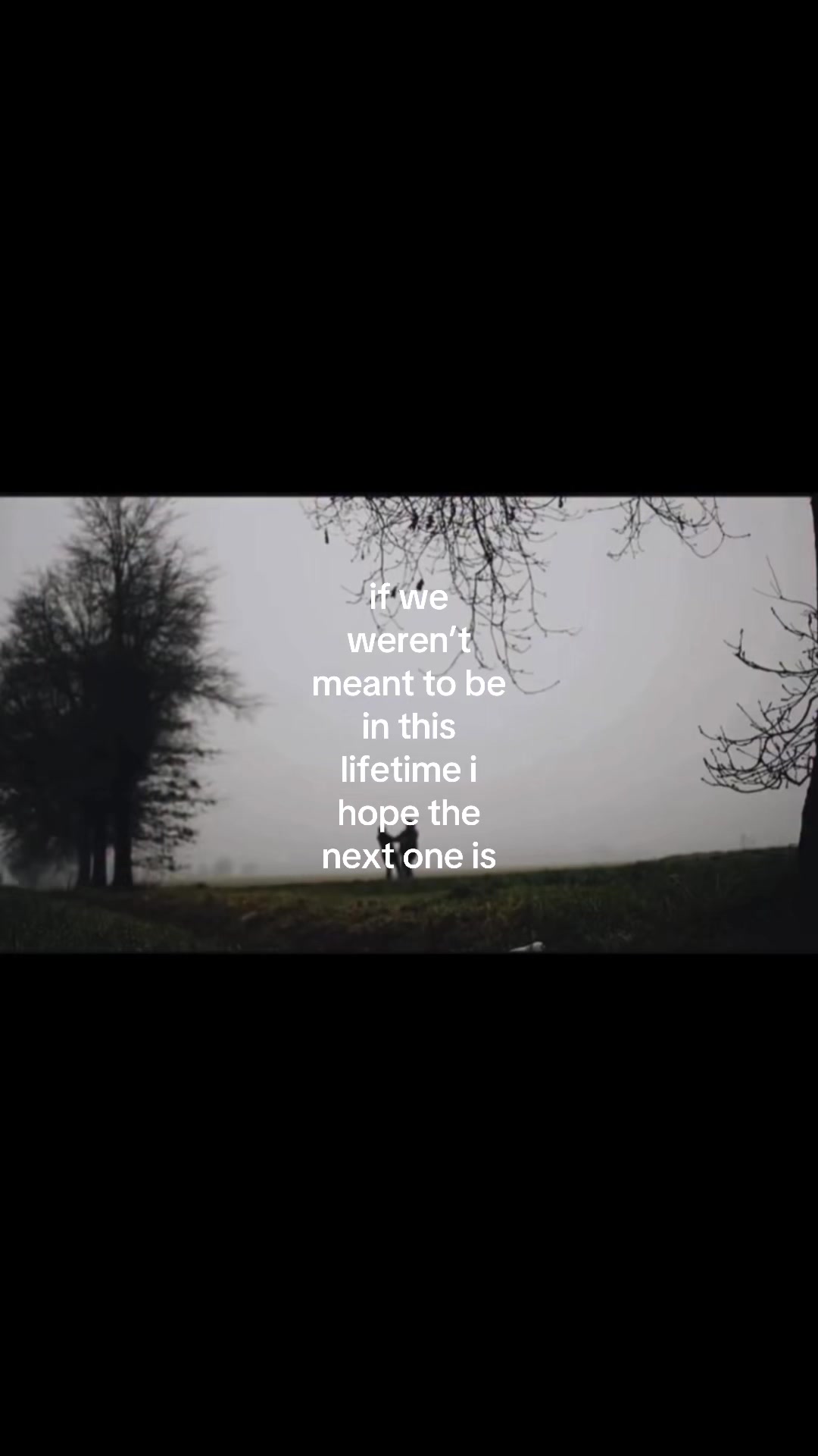 @y4nderegf