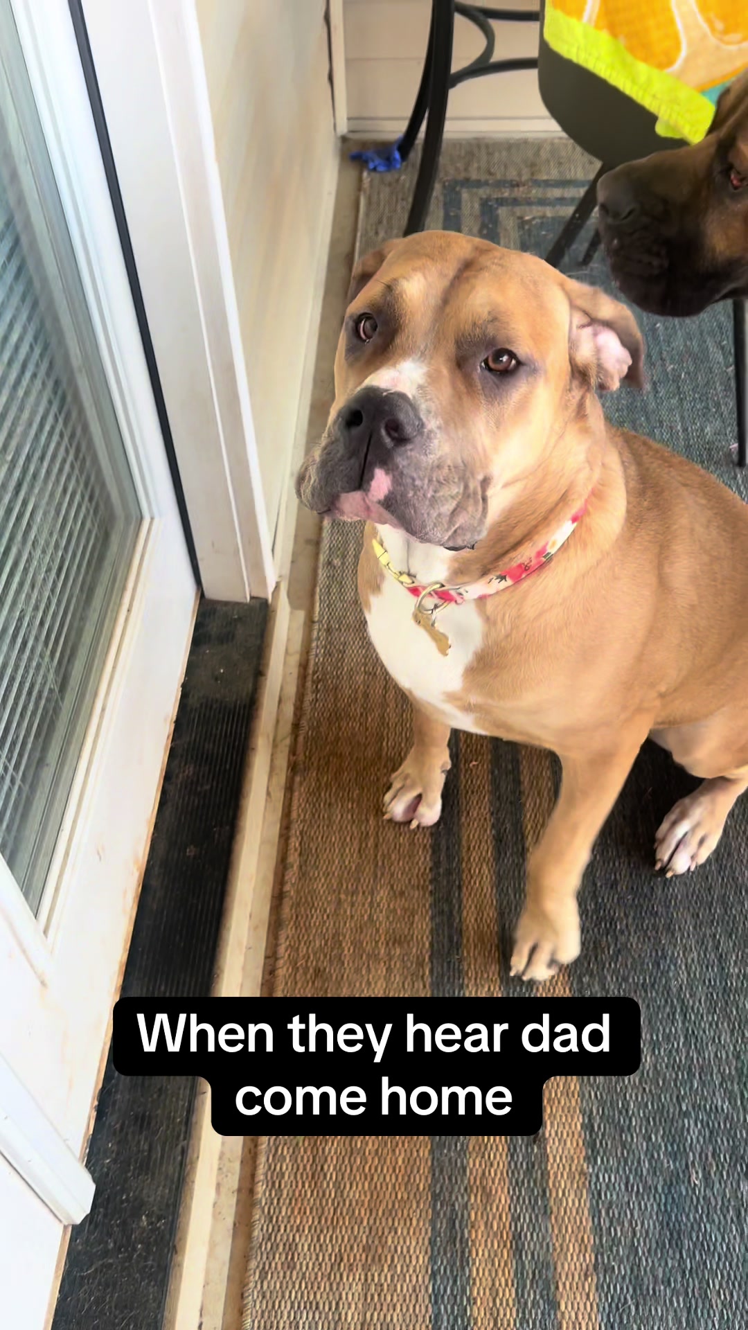 @Nala & Hurley