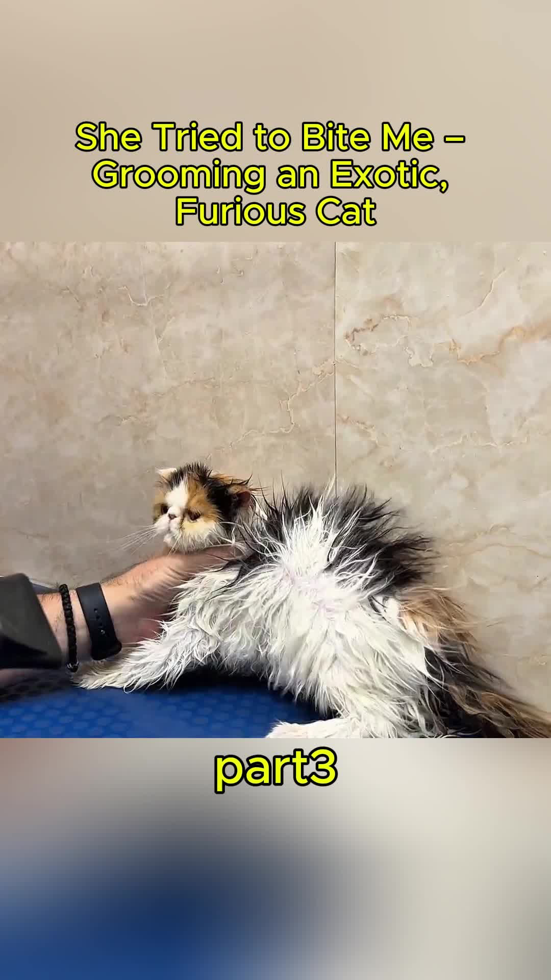 @uxifnfsiyyn
