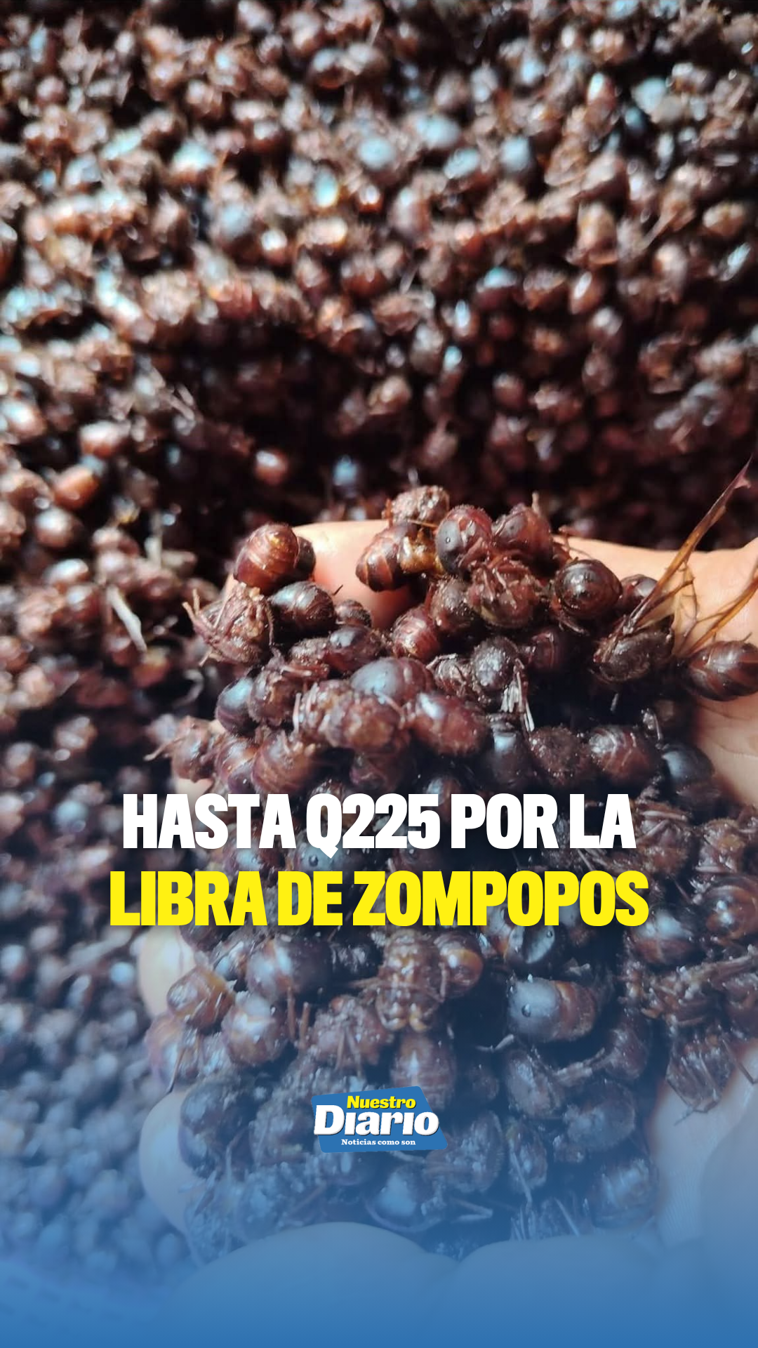 @Tiktok oficial Nuestro Diario