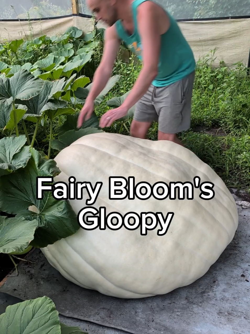 @bigpumpki