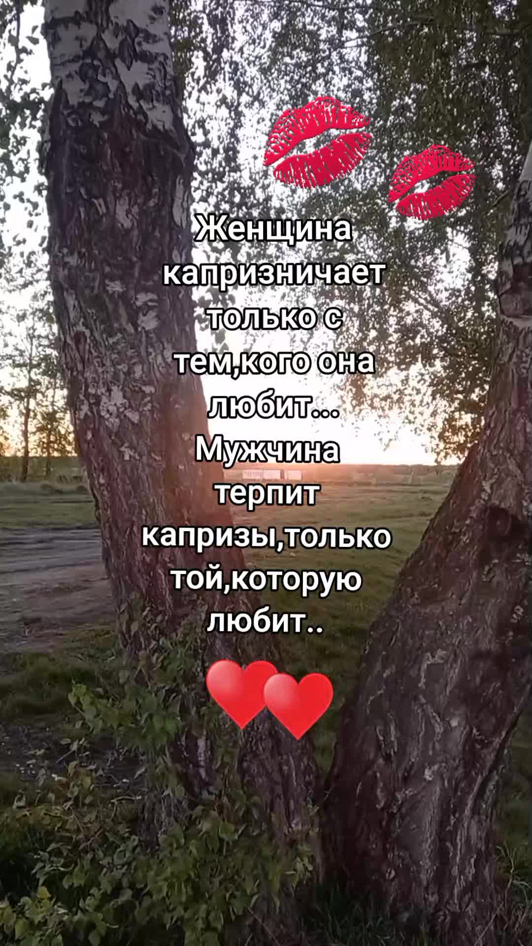 @ksy.sha77