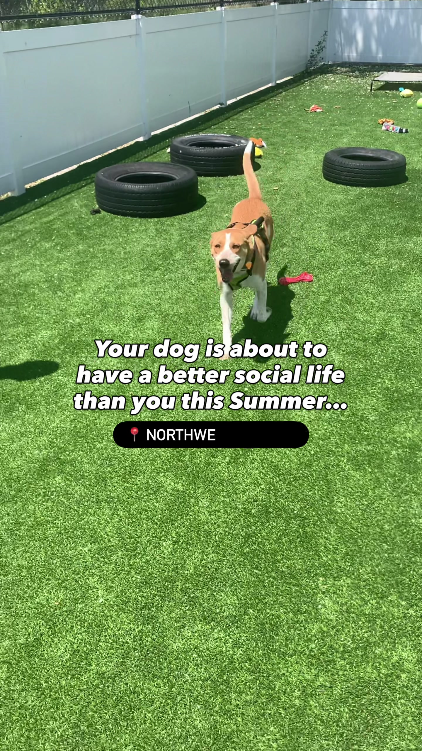 @liveNWI