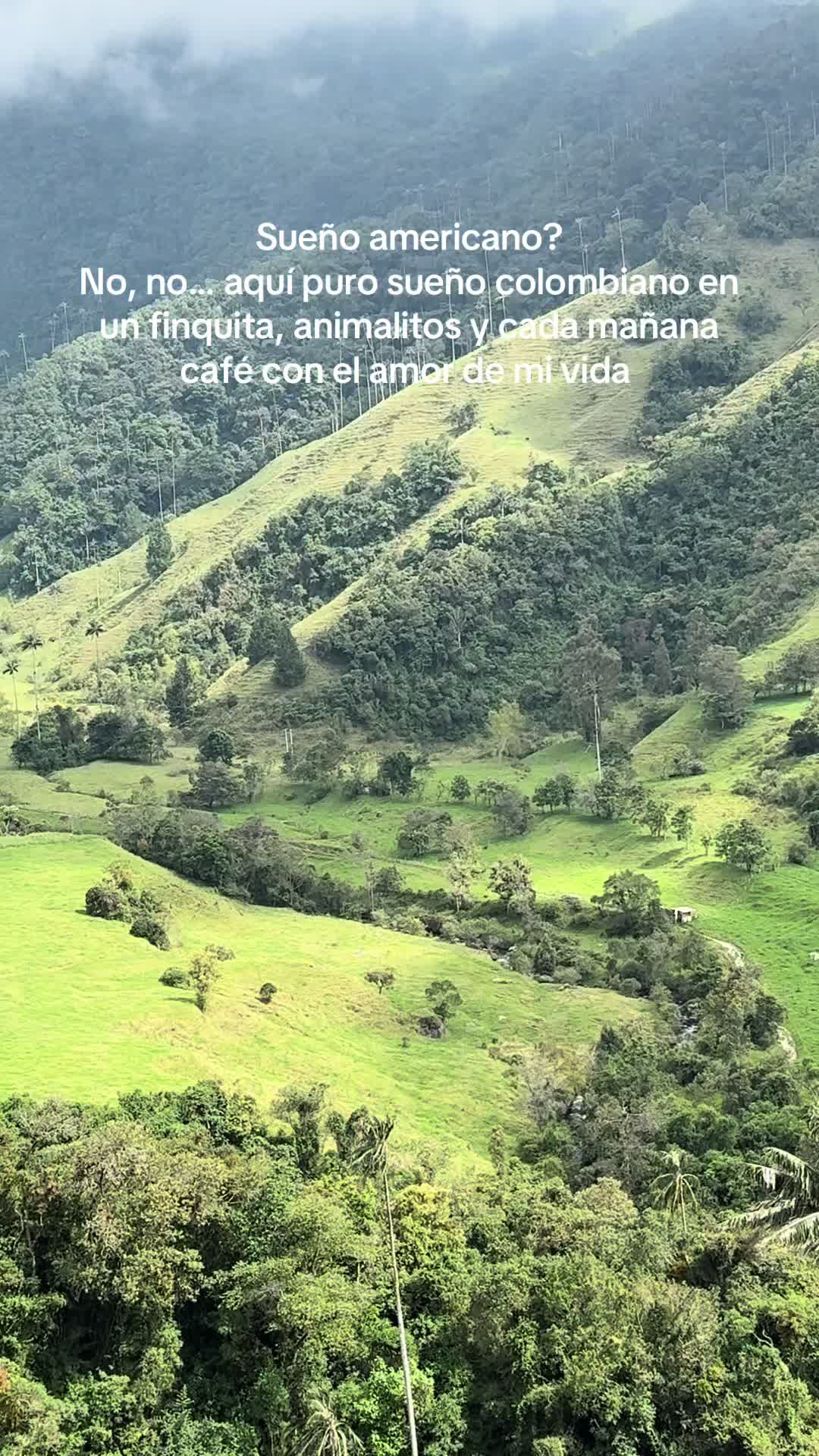 @Valeria Carmona