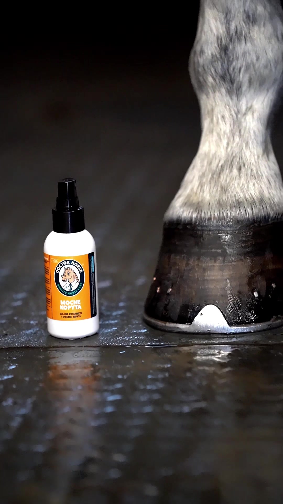 @Doctor Horse