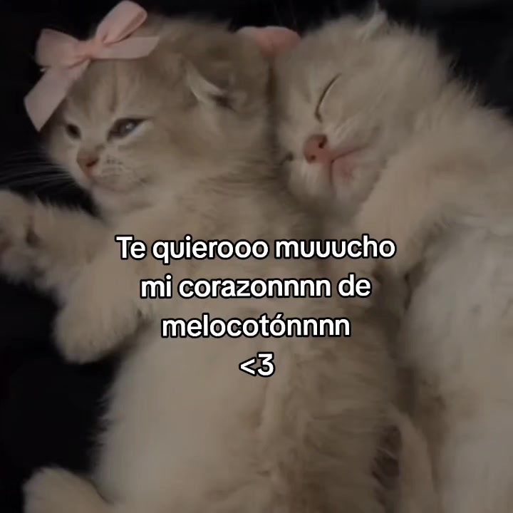 @goodvibessxd