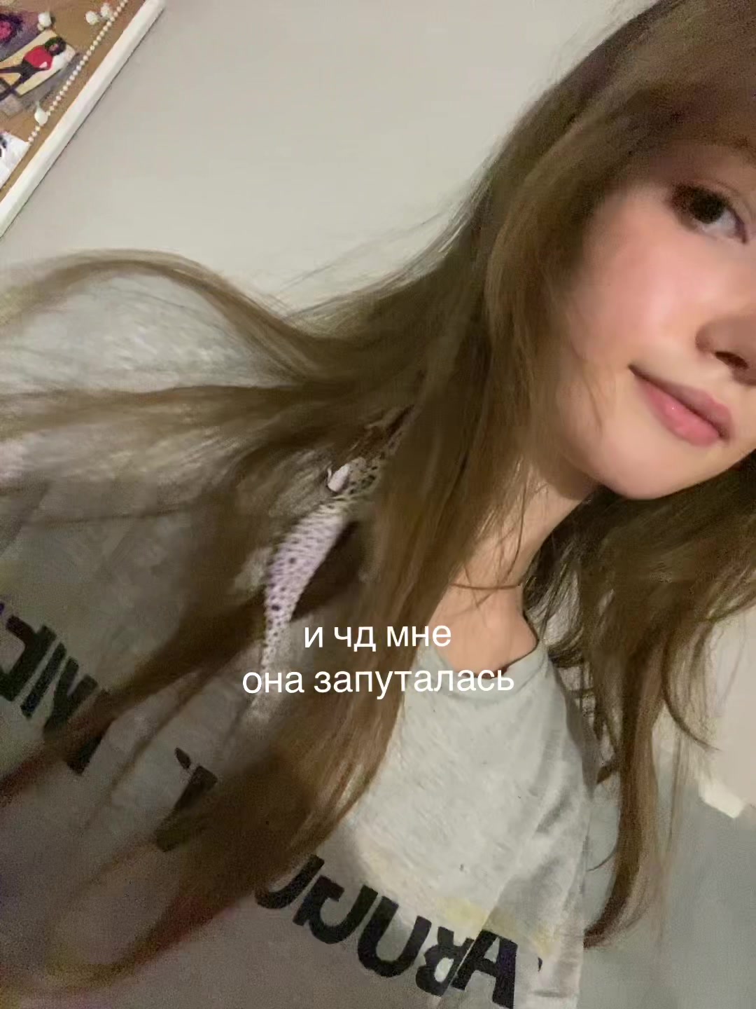 @𝙭𝙨𝙖𝙣𝙤𝙫𝙖