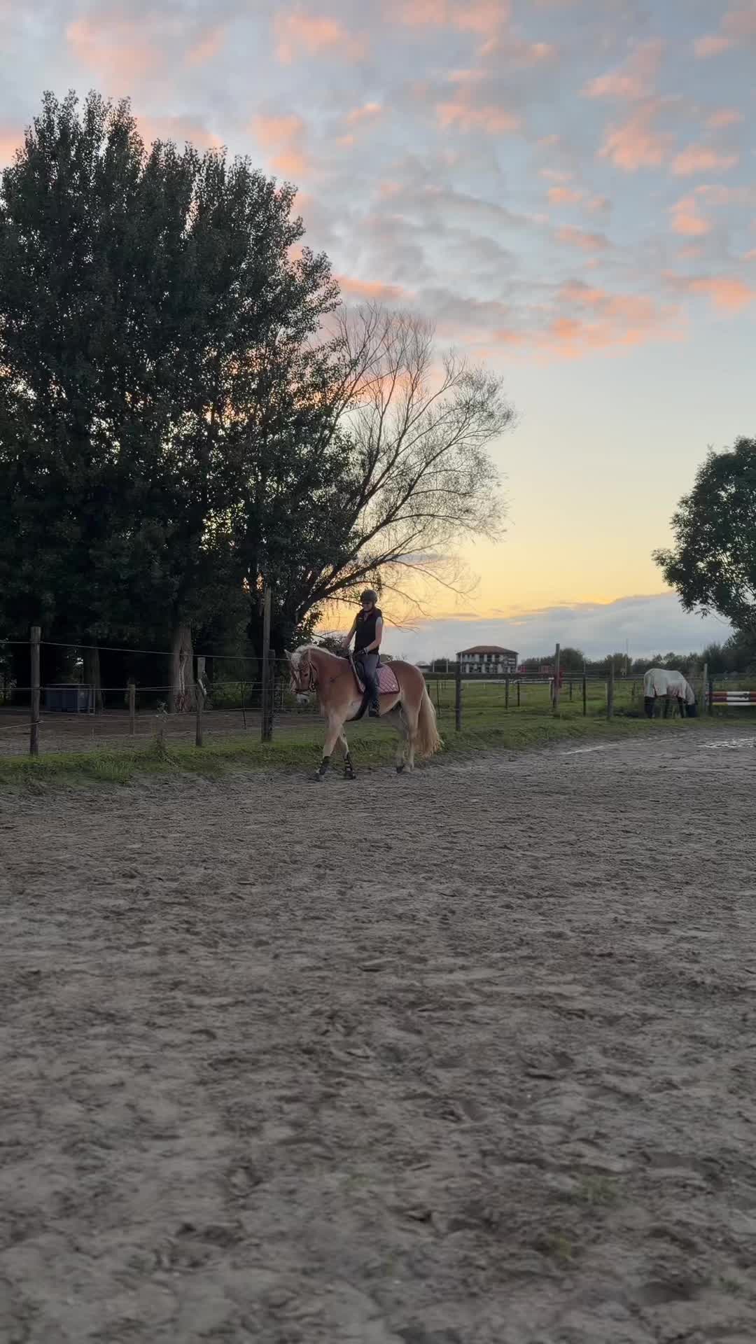 @Sanne-Jasmijn💗⭐️