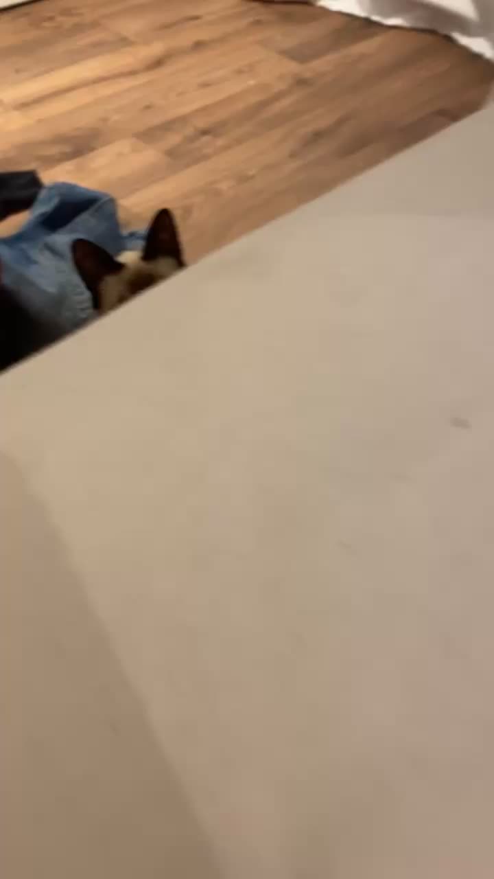 @𝓒𝓱ª