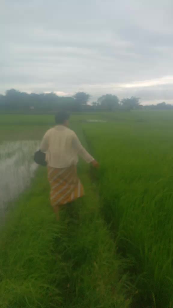 @ရှမ်းစု ကိုကို