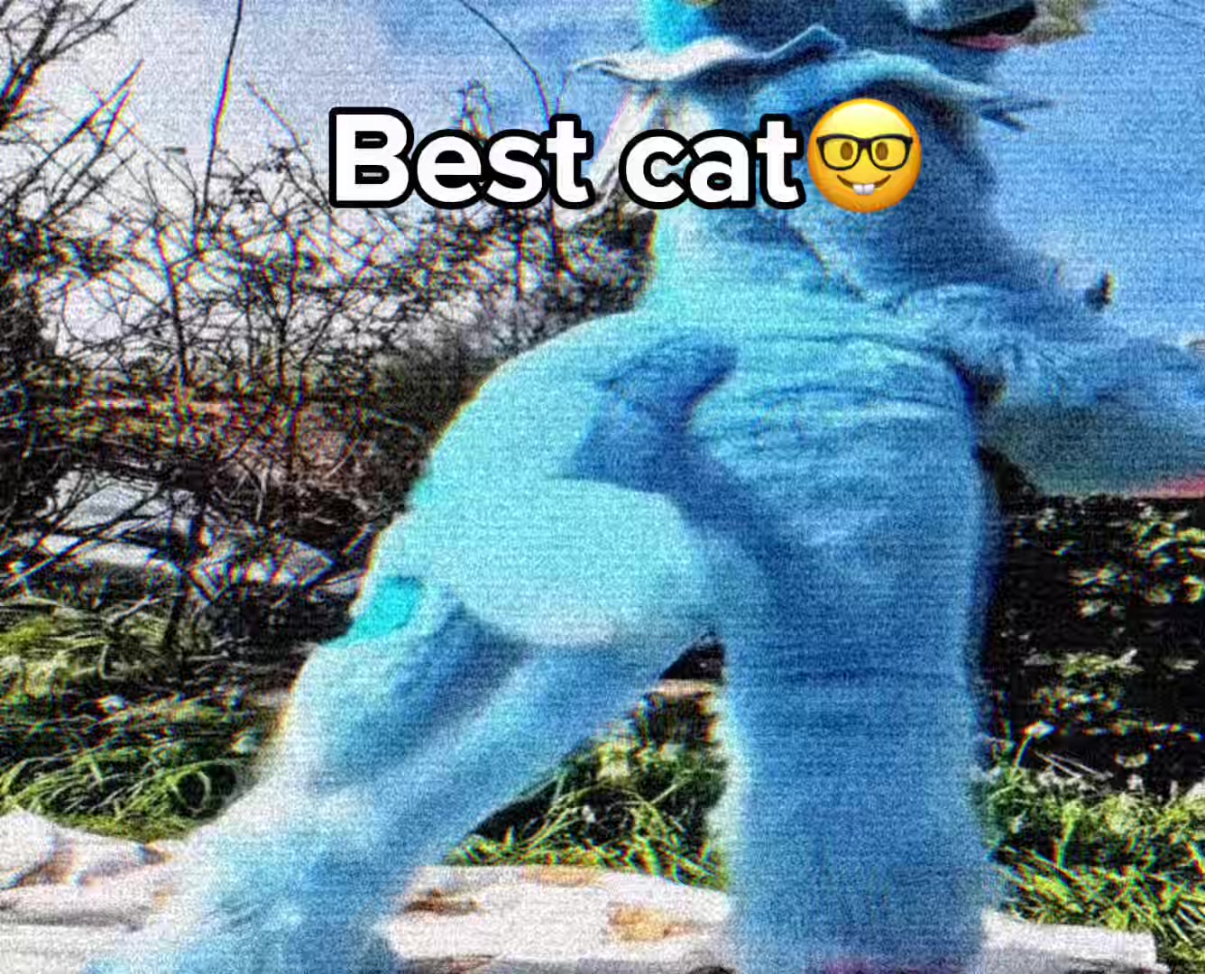 @noyone…