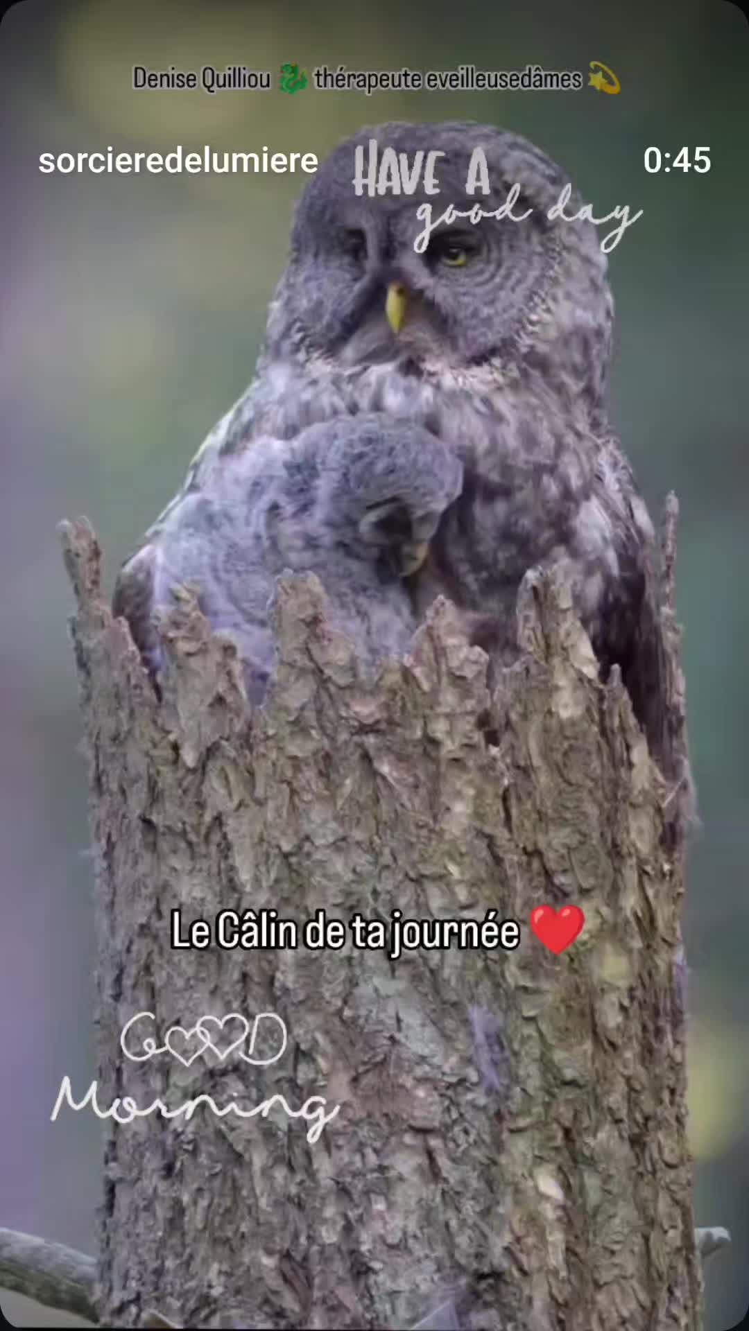@Lauret Denise ✨🐉✨