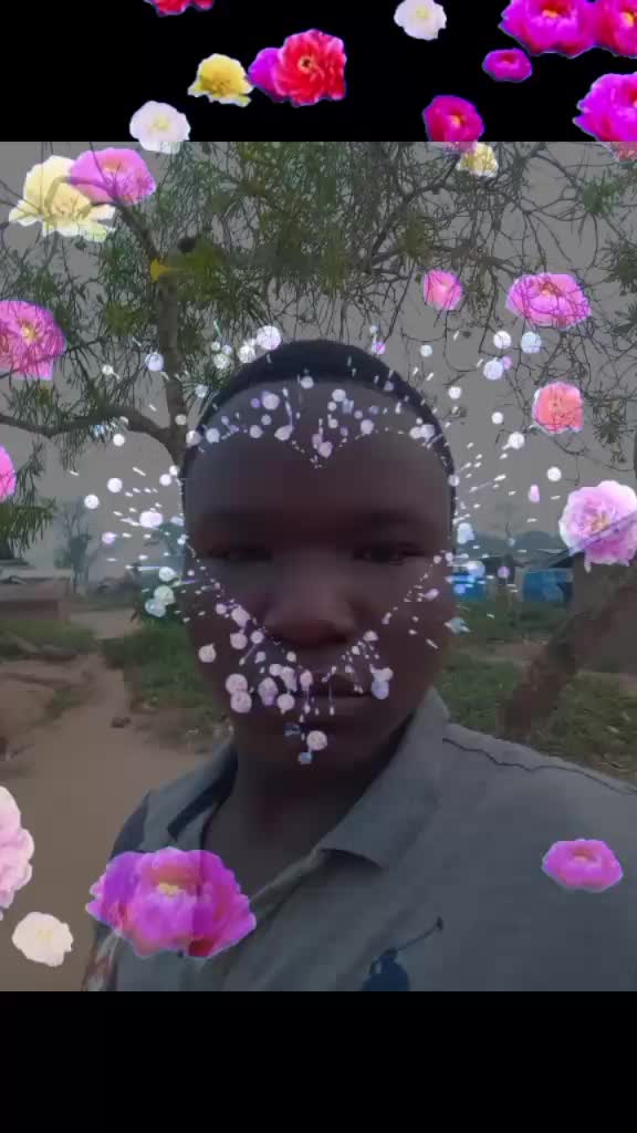 @bing lioo