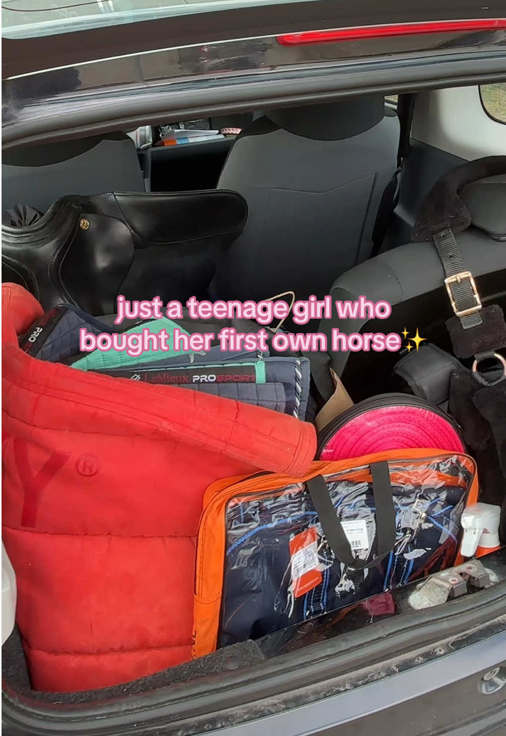 @equinikola