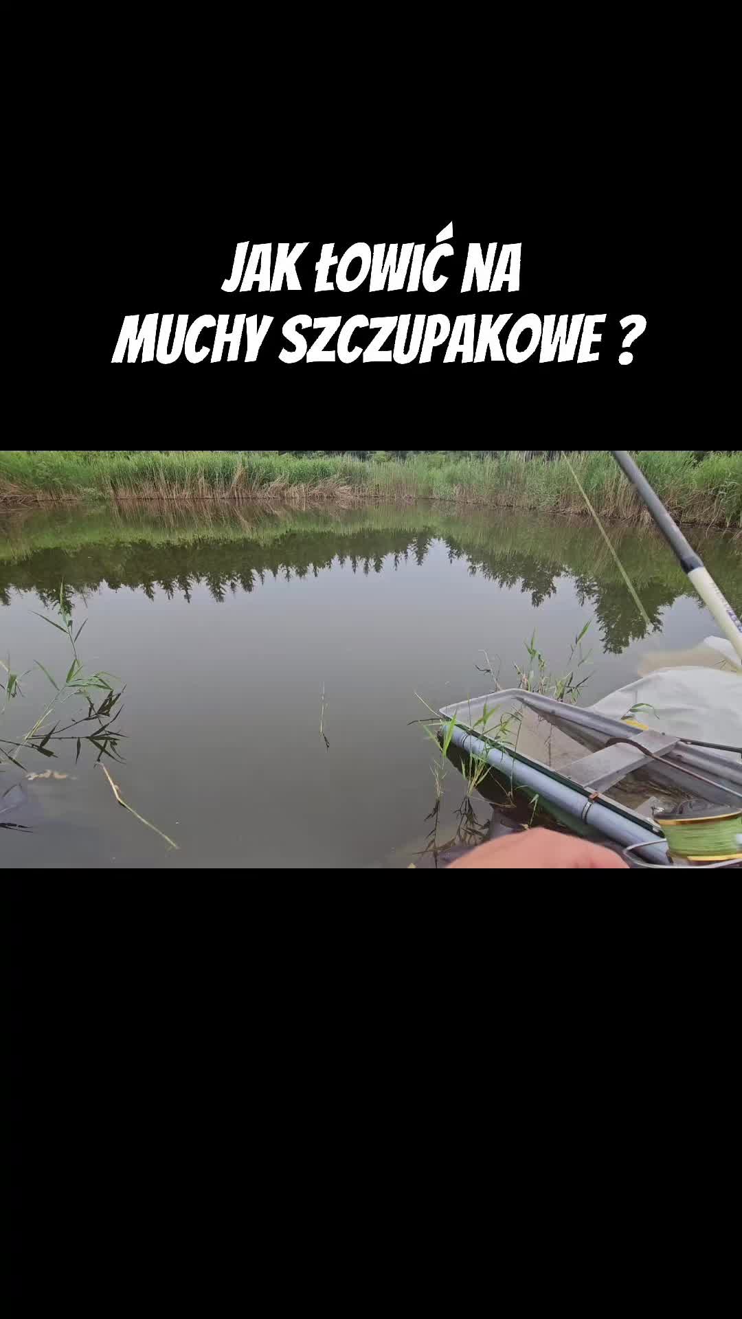 @mfly_lures