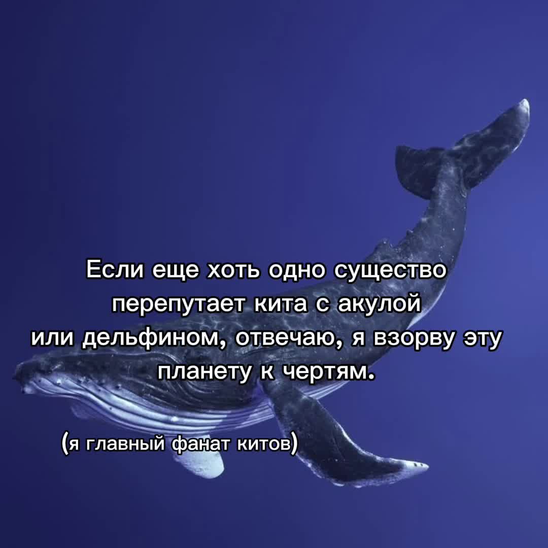 @гидросфера