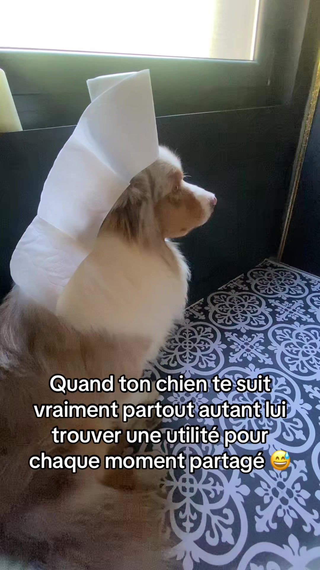 @Sucresandy