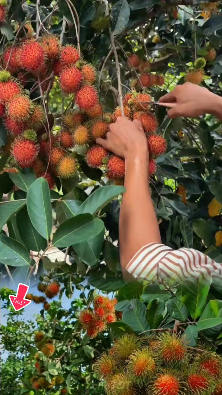 @tới đồ dùng