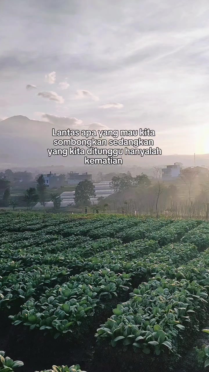 @Ruang Qalbu