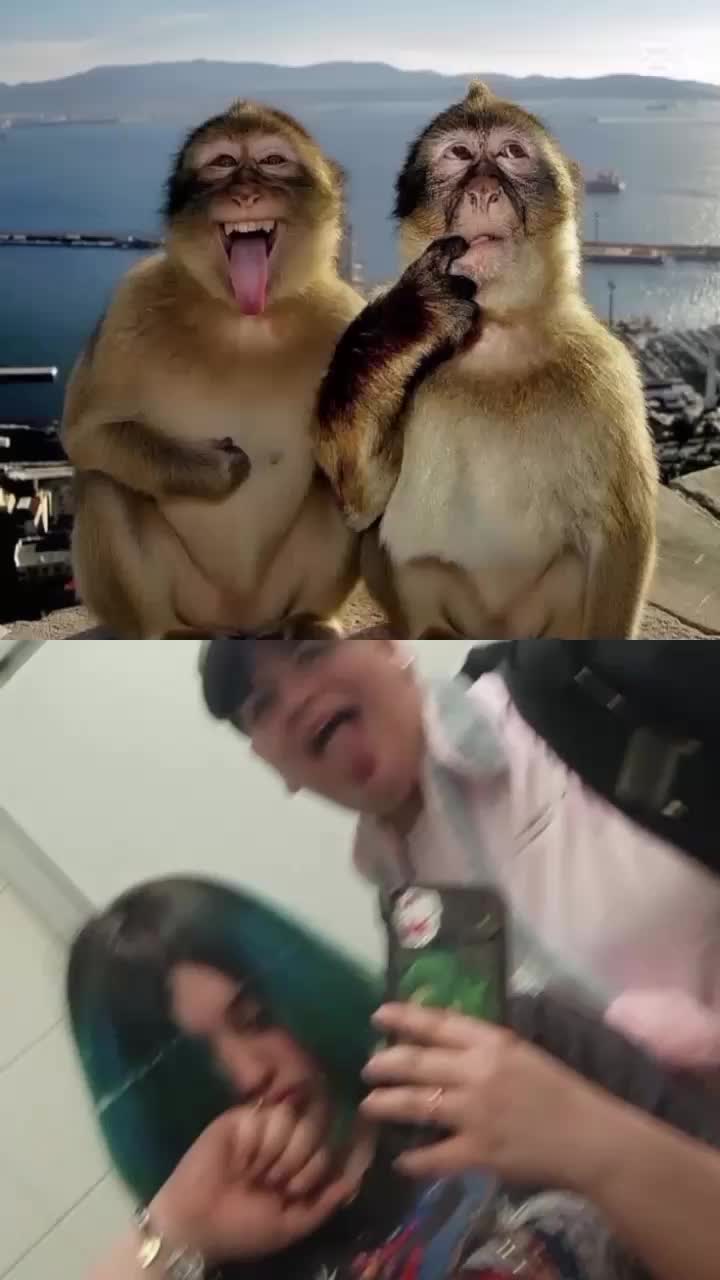 @โ
777โ