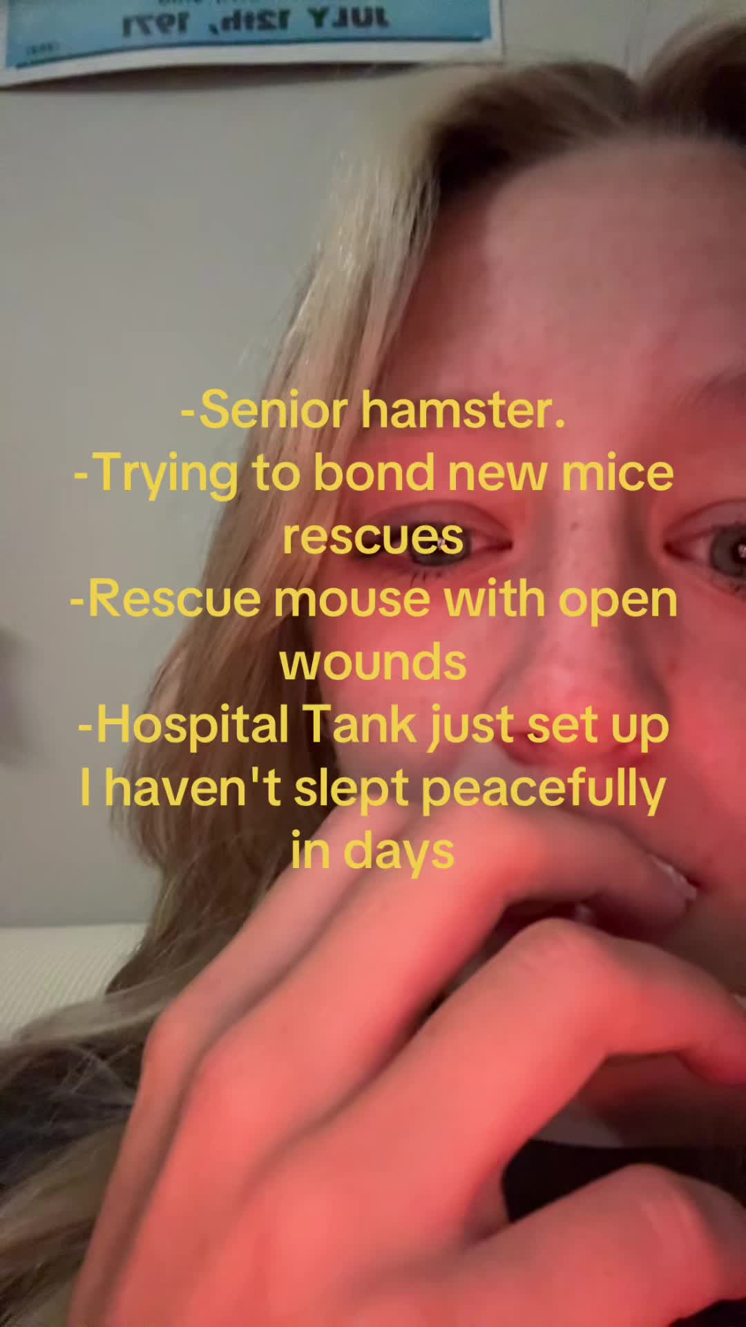 @thatweirdanimalgirl