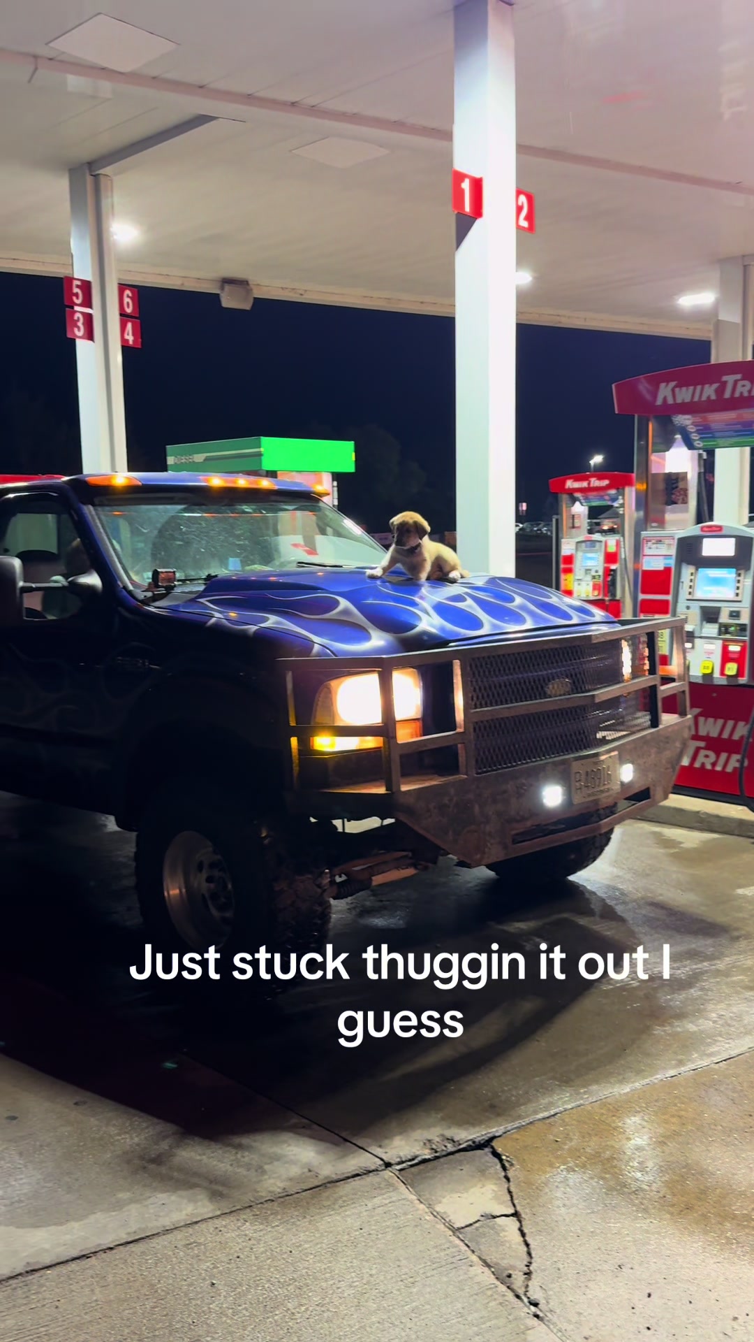 @Austin6.6