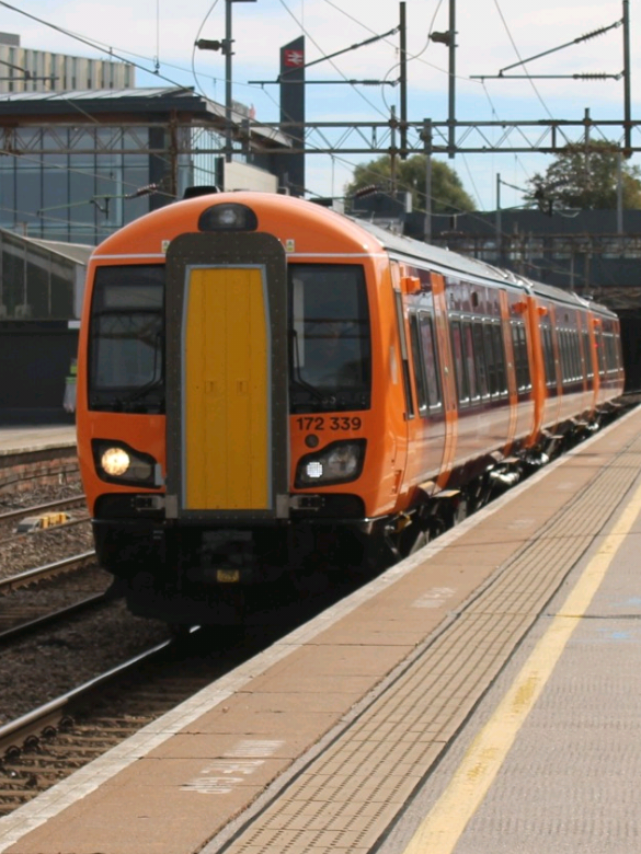 @the.local_trainfan