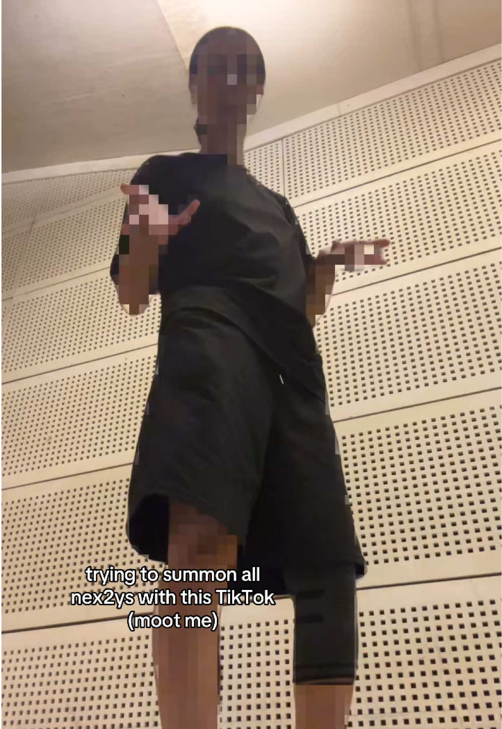 @🐿️