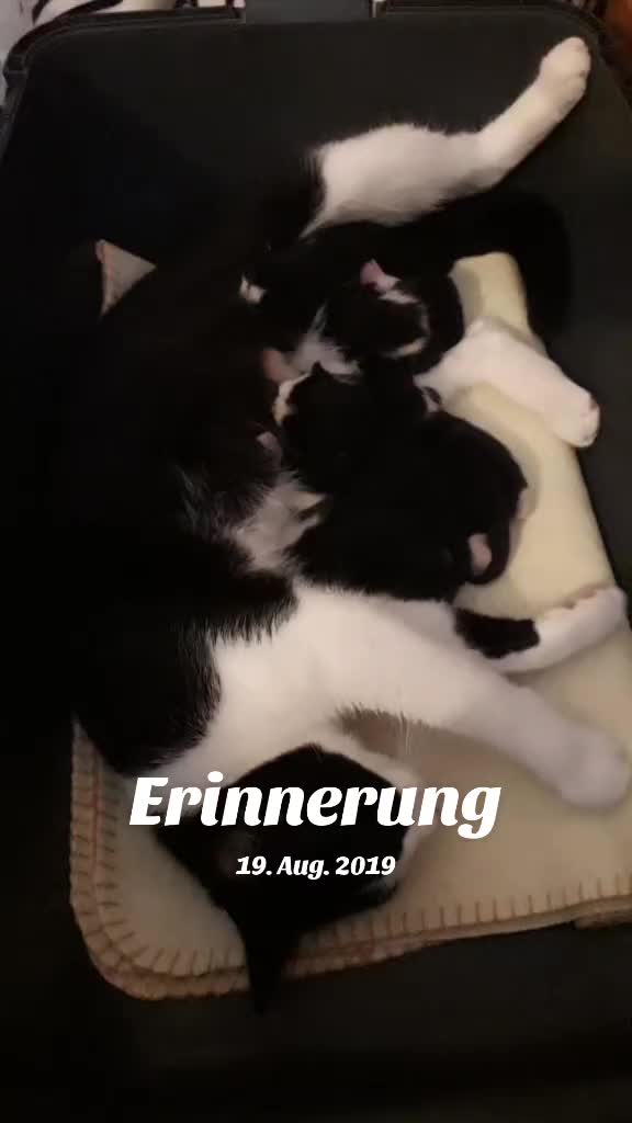 @kiki