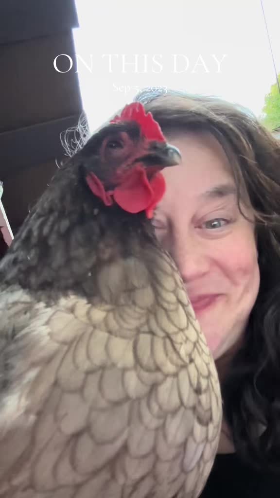 @FusterCluck Farm