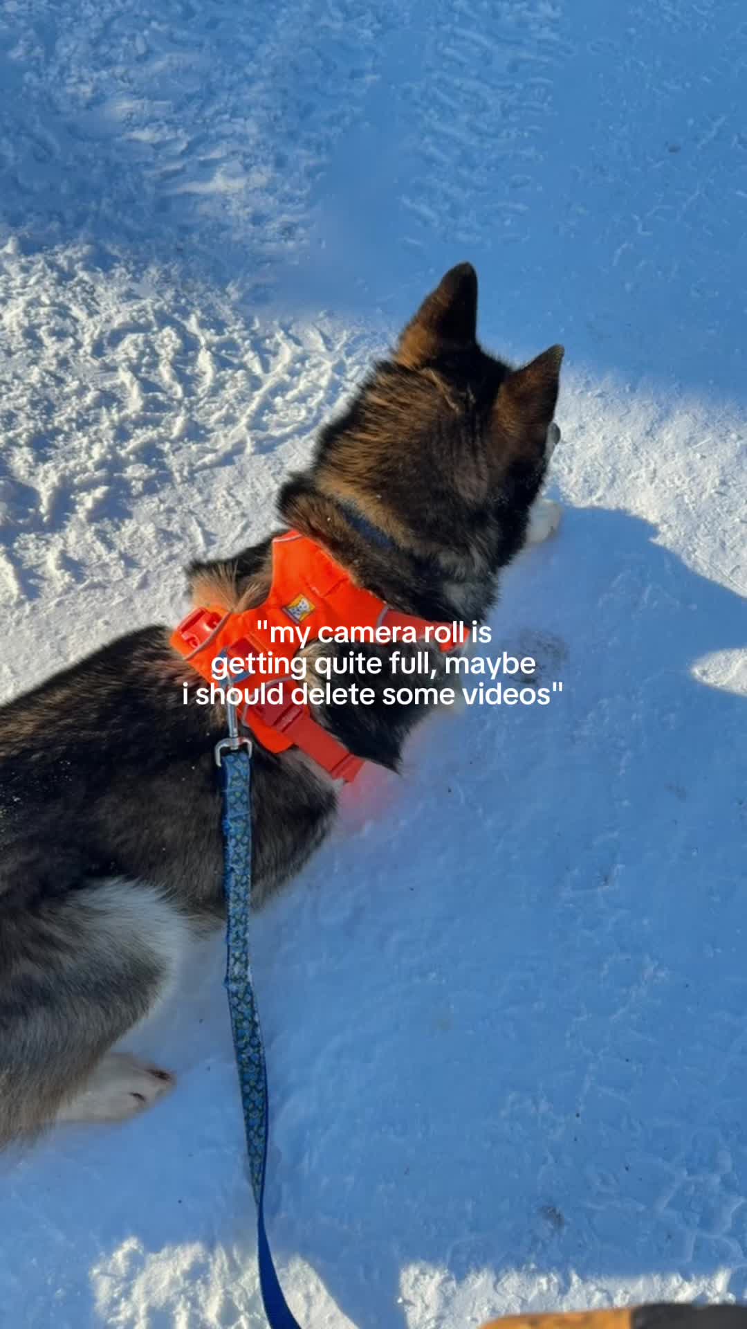 @jeri skyelar