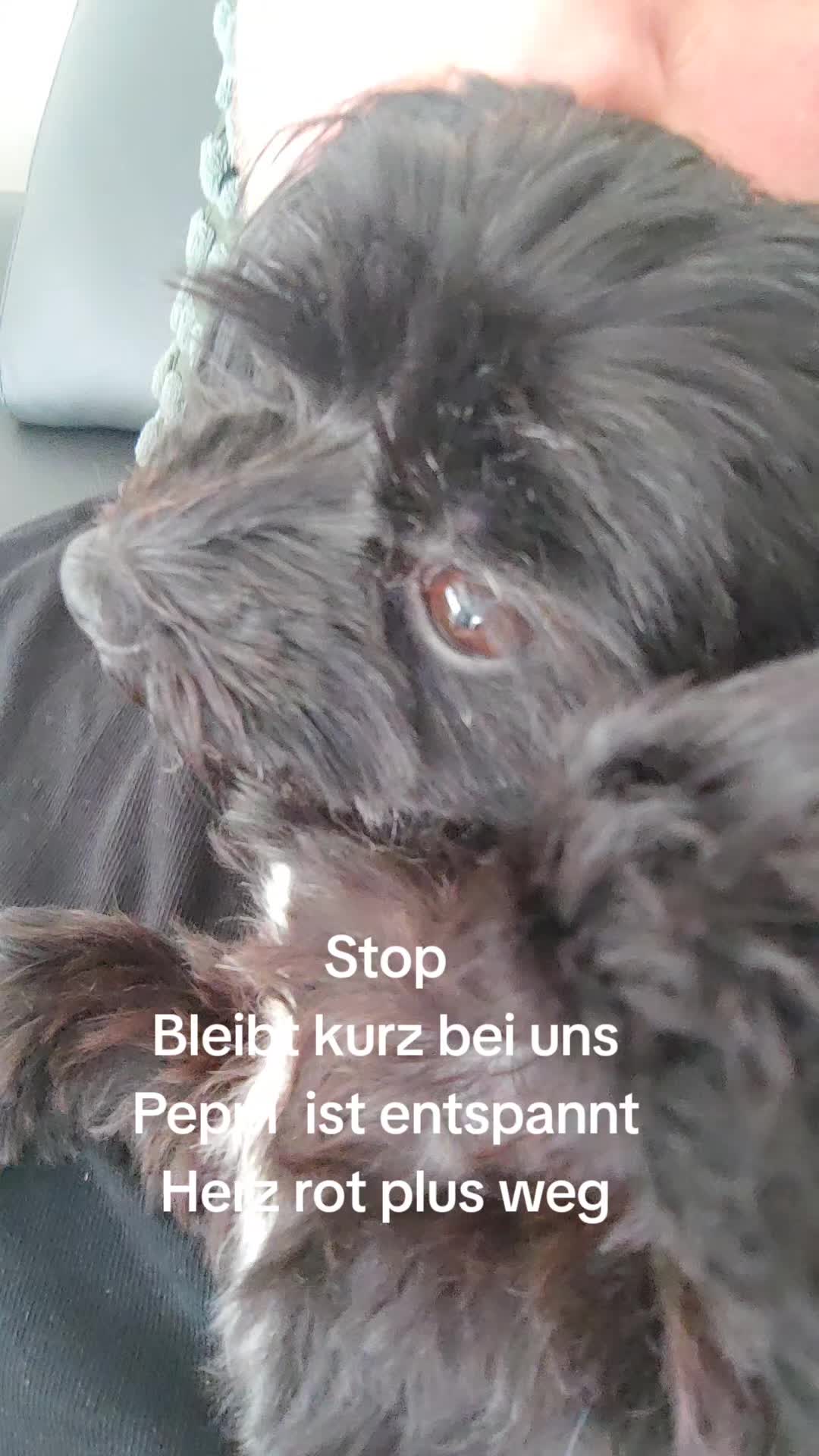 @P&ouml;ppi