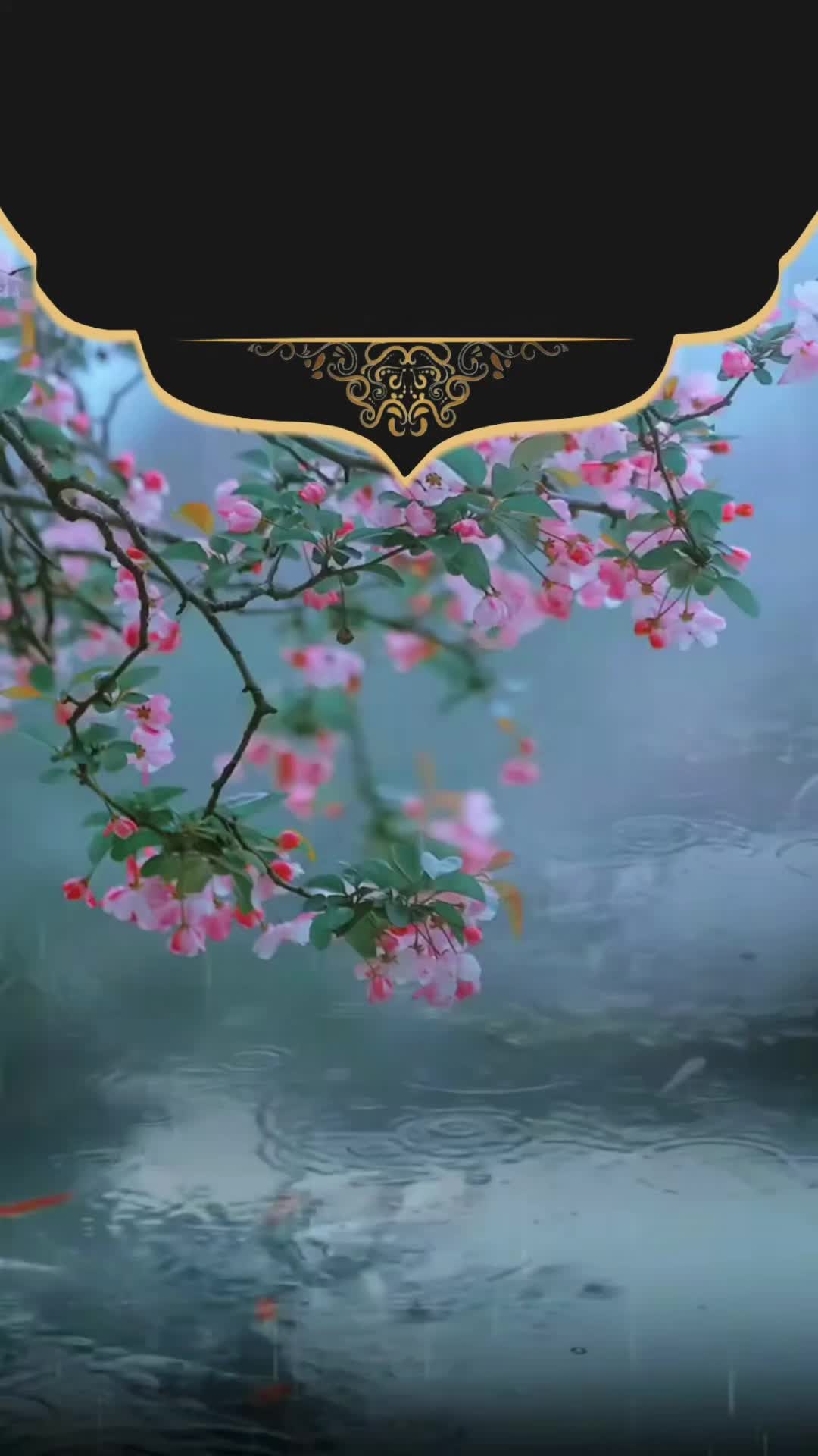@Youserseef