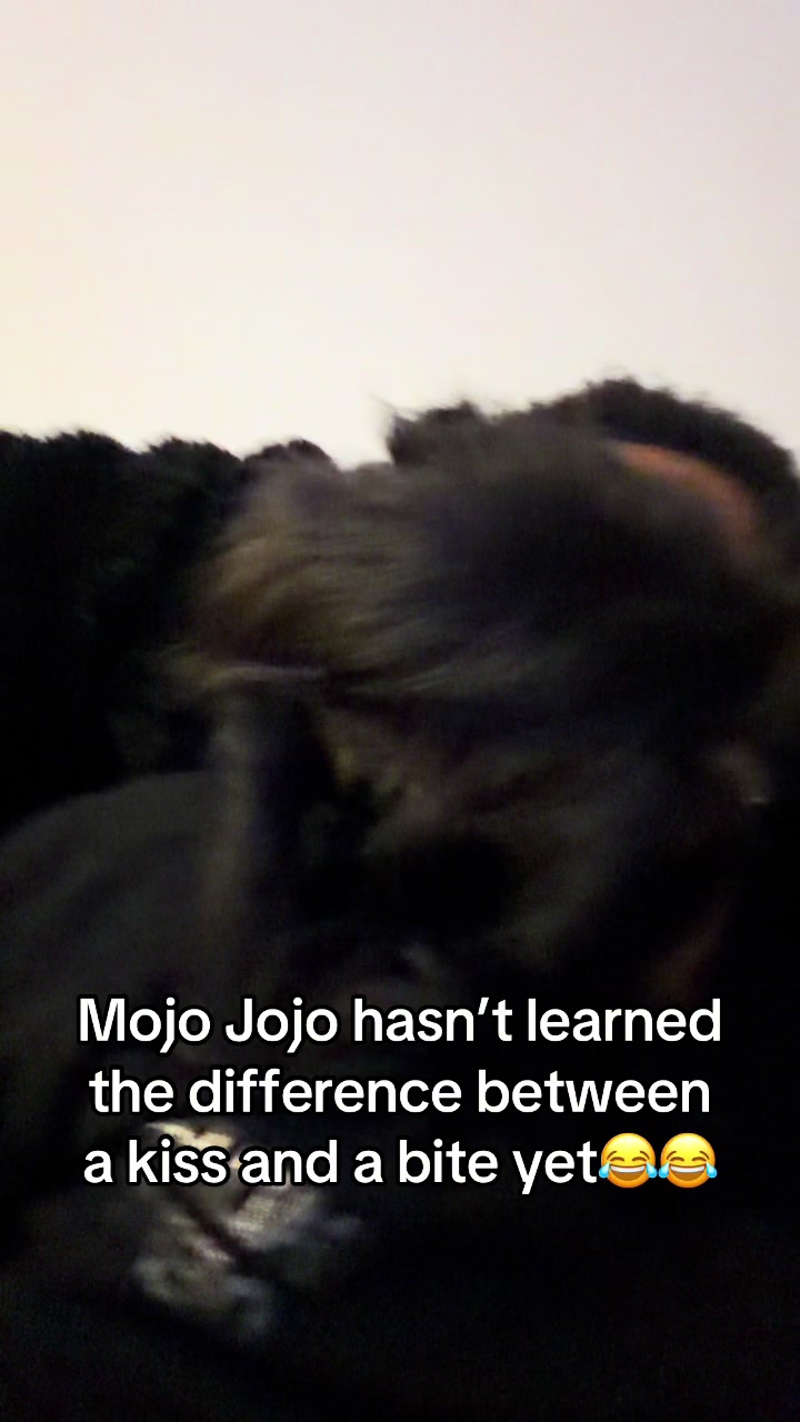 @OJTV & Mojo Jojo🧡