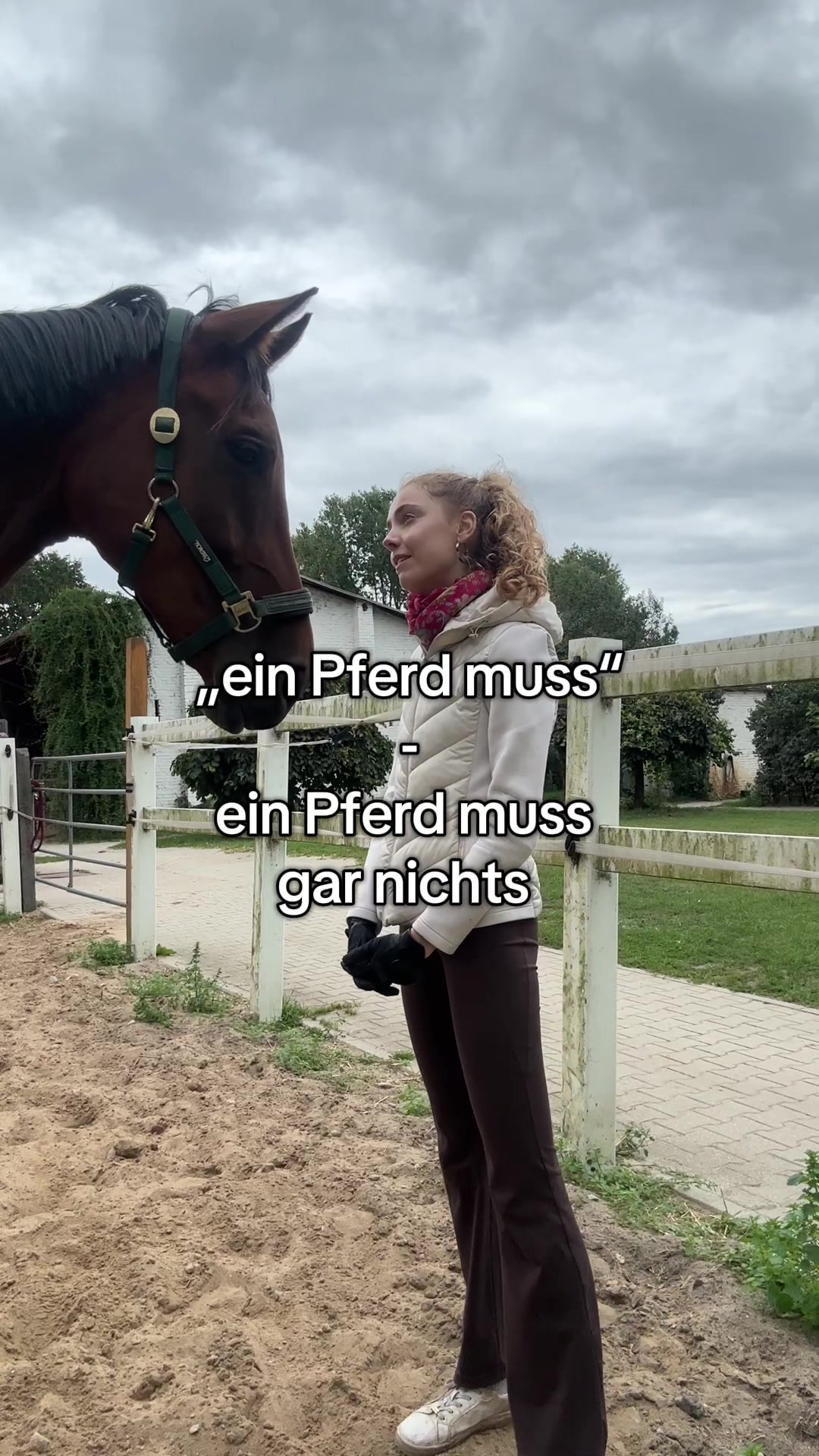 @evis.pferdechaos
