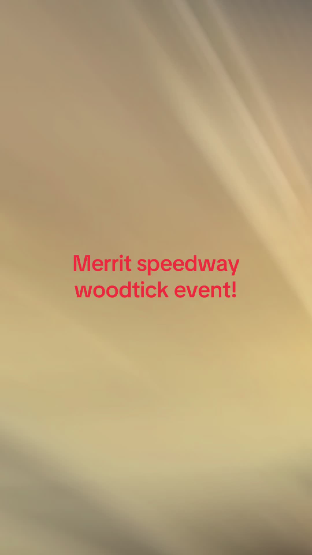 @dirtbike 300