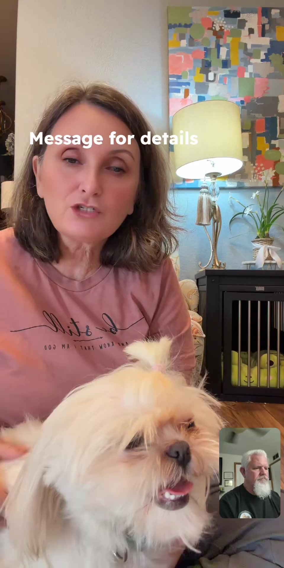 @Twilight Shih Tzu