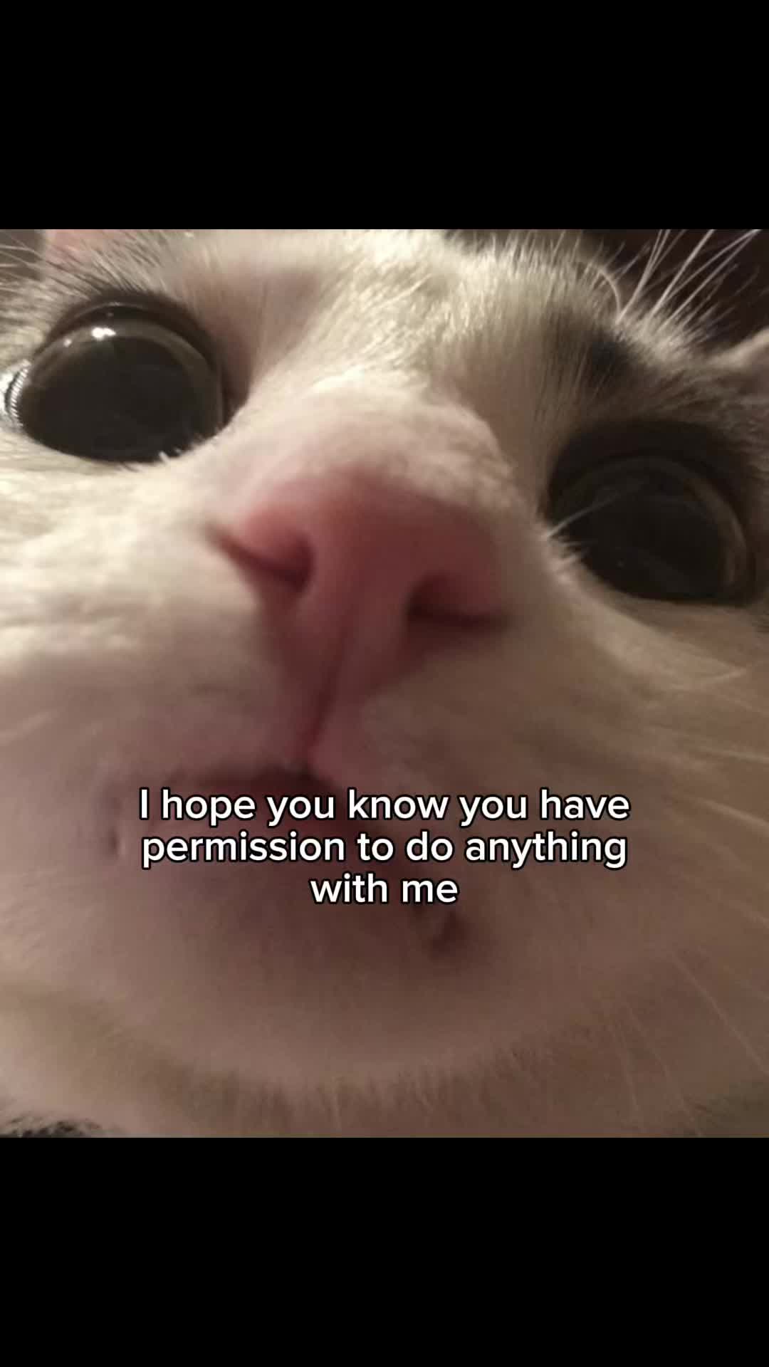 @lucyylow
