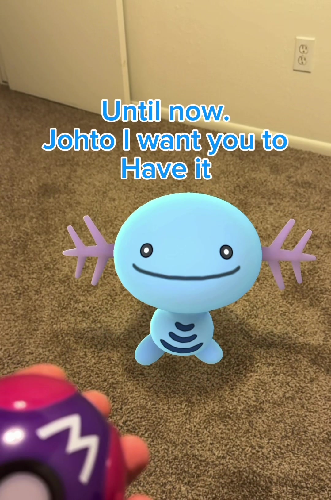 @The Wednesday Wooper