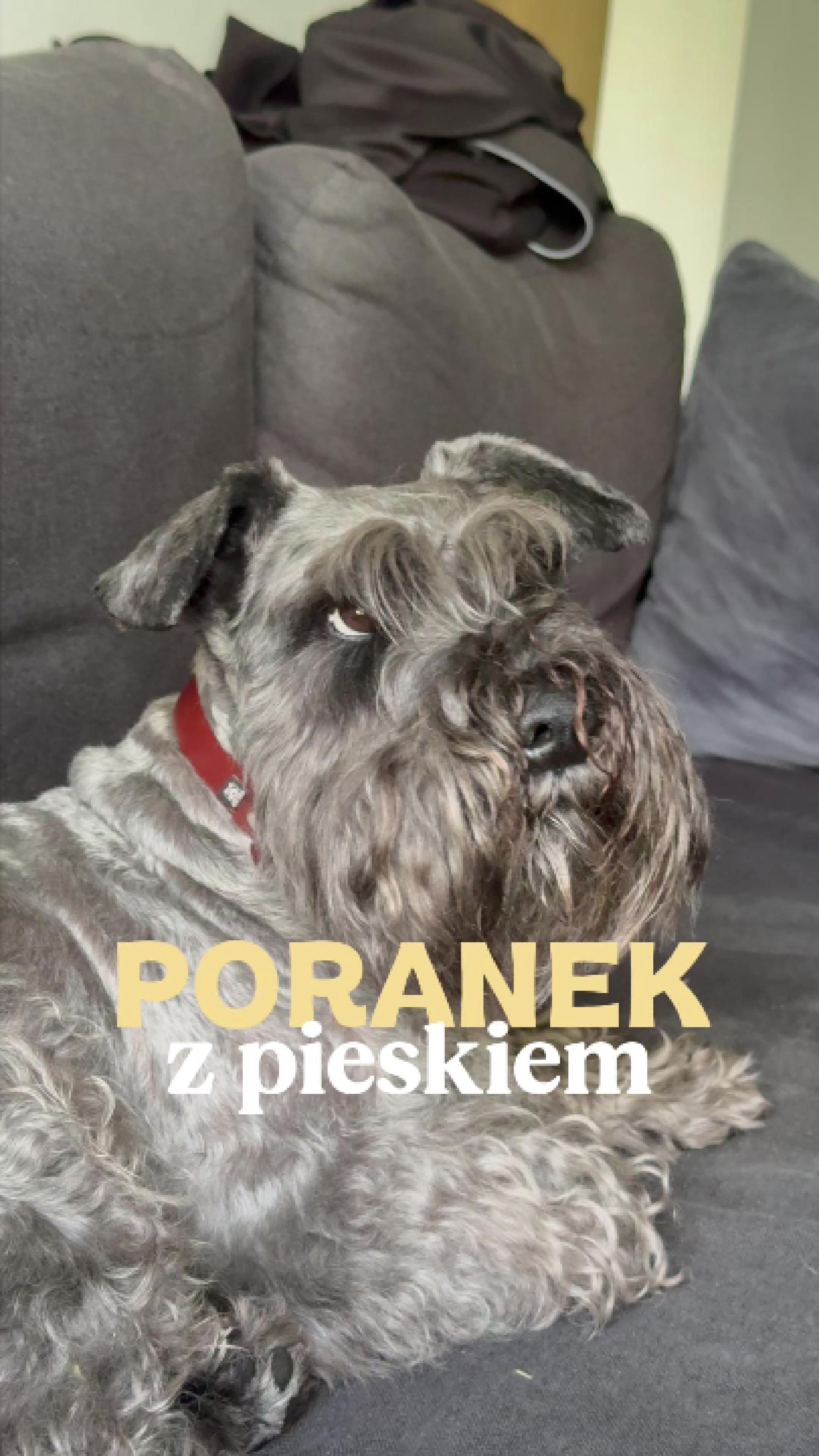 @crispynka organizuje 🏠💰🛒