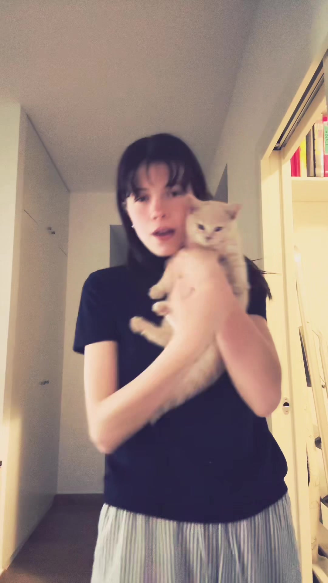 @ilapsn