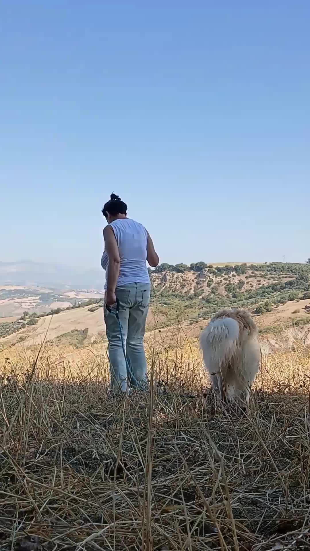@Emilia Di Giovanni