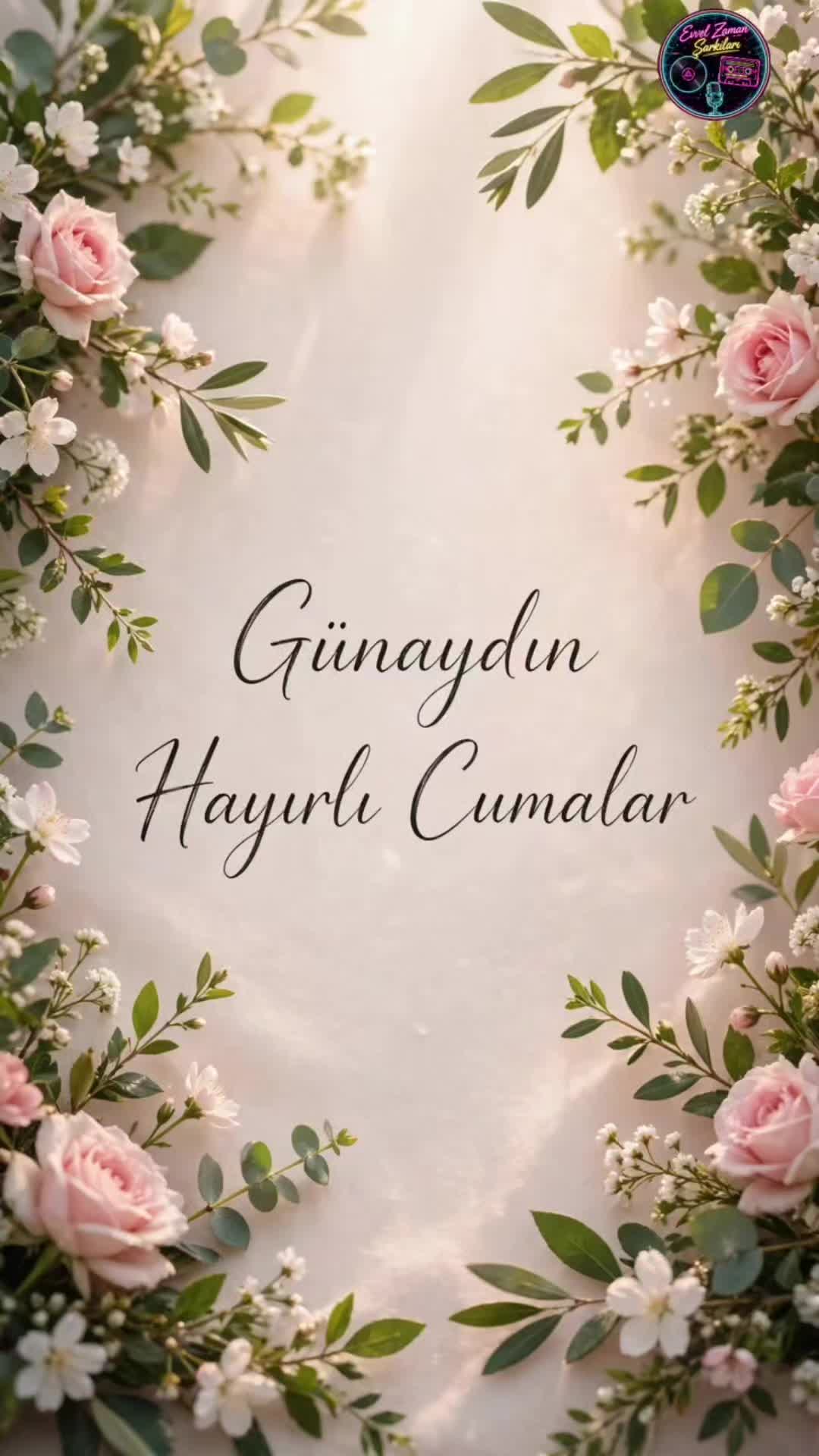 @ayse48